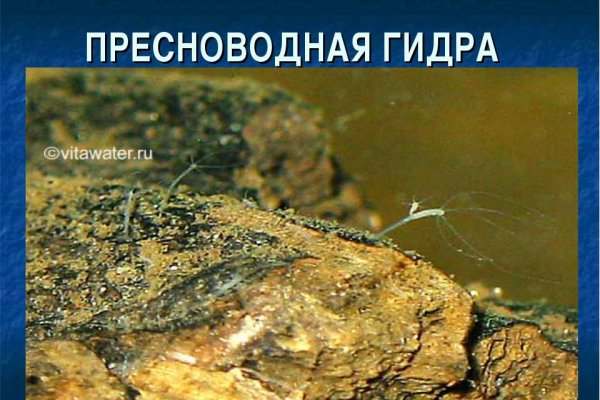 Кракен через впн
