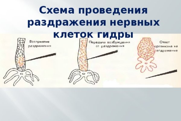 Правильная ссылка на кракен